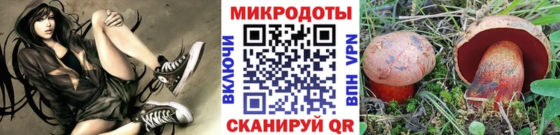 цены   Ельня  Псилоцибиновые грибы Psilocybine cubensis 